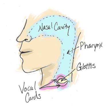 Ujjayi Breath (Ujjayi Pranayama)