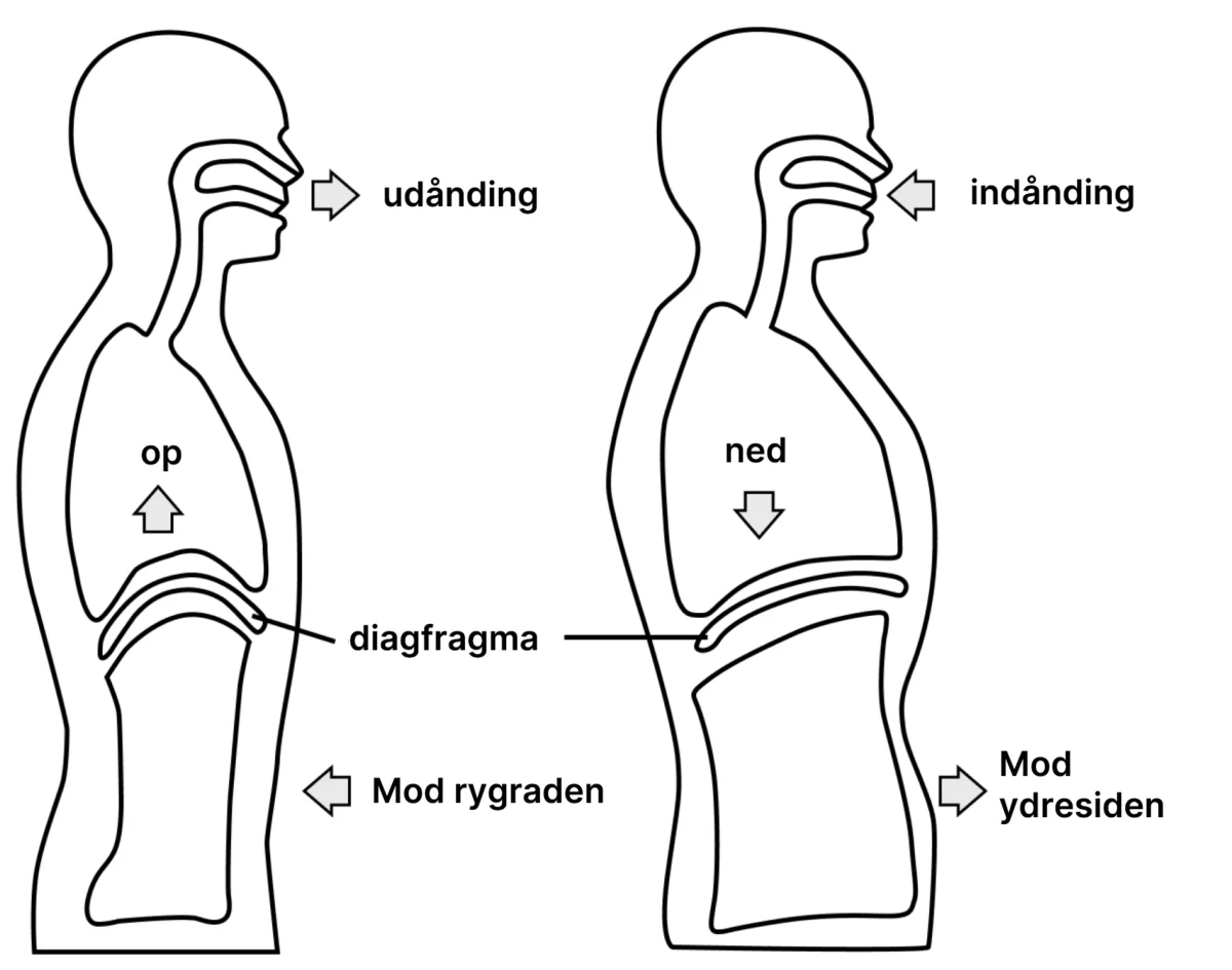 Diafragmatisk vejrtrækning